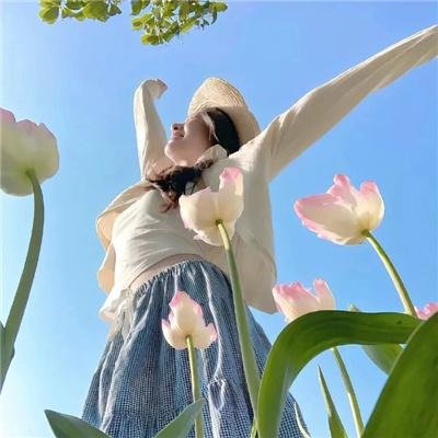 探险活宝第四季